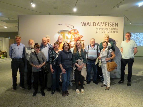 Gruppenfoto Waldameisen