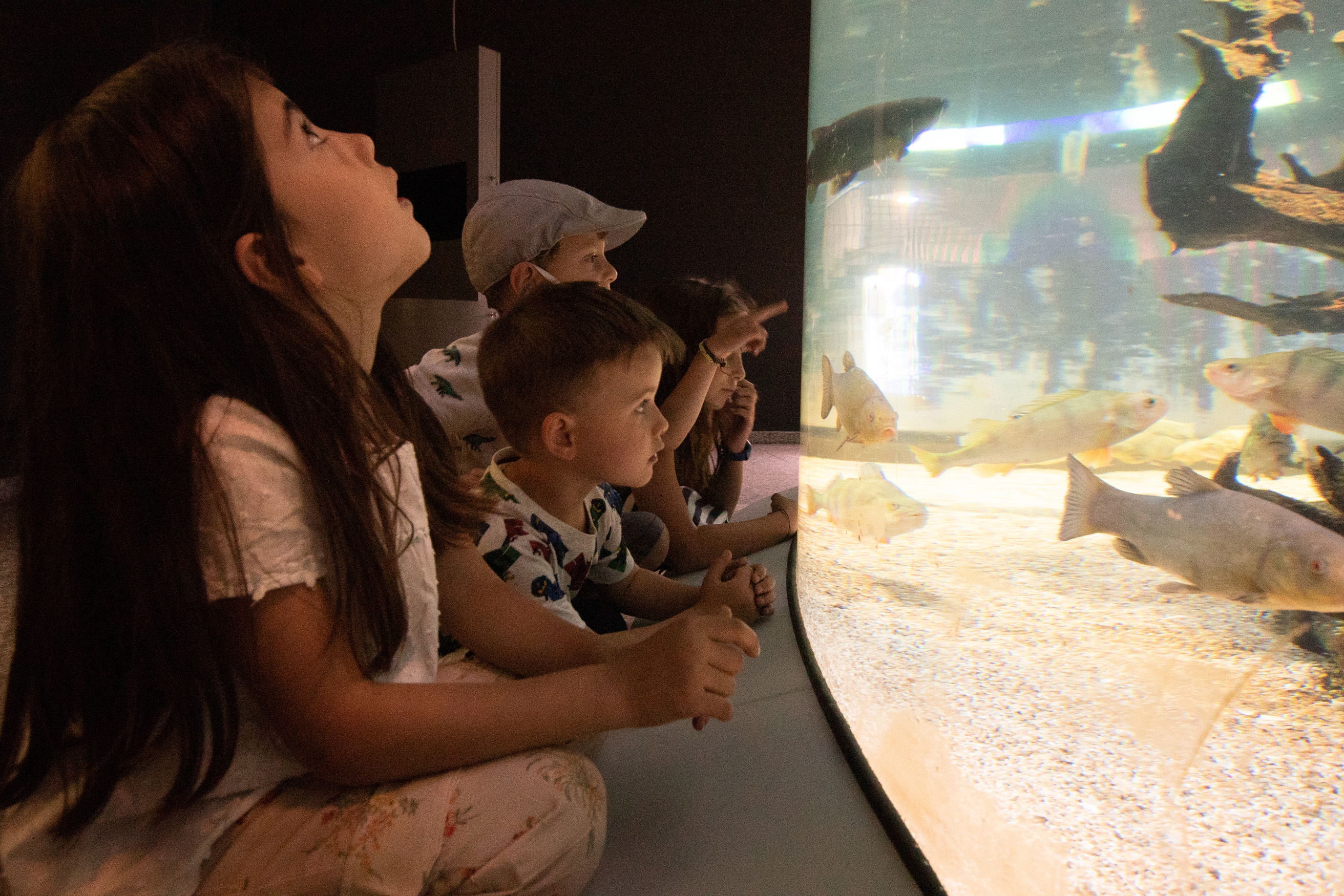 Das Aquarium im Museum