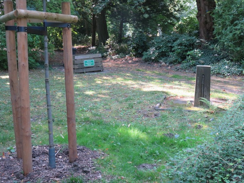 Hauptfriedhof am 25. August 2019 (45)