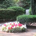 Hauptfriedhof am 25. August 2019 (52)