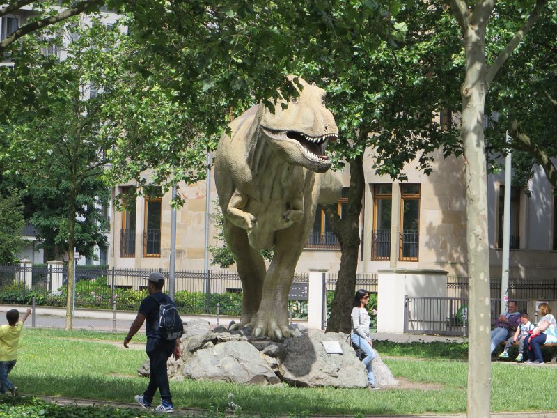 Eine Exkursion in das Senckenberg-Museum