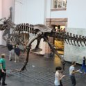 Eine Exkursion in das Senckenberg-Museum