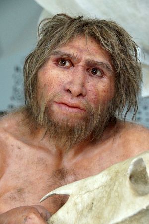 der  homo heidelbergensis