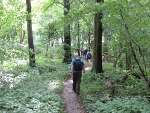 Auf dem Weg zur zzweiten potentiellen Grabungsstätte