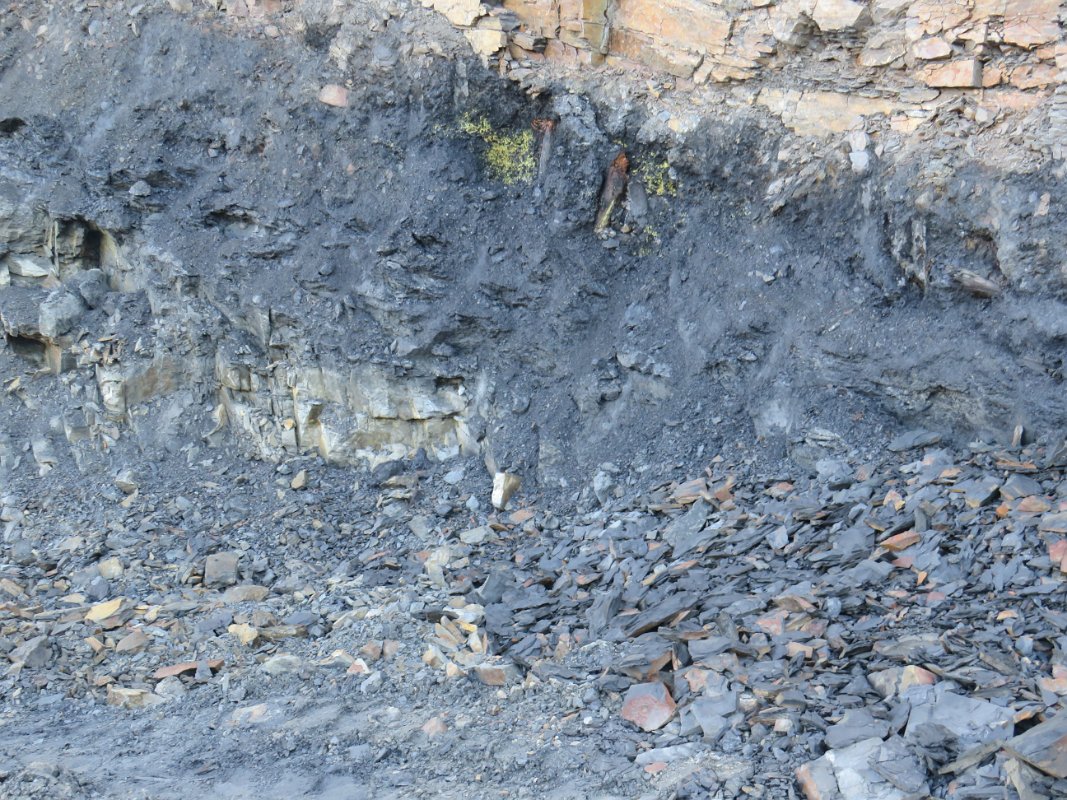 Piesberg am 28.09.2025 (35)