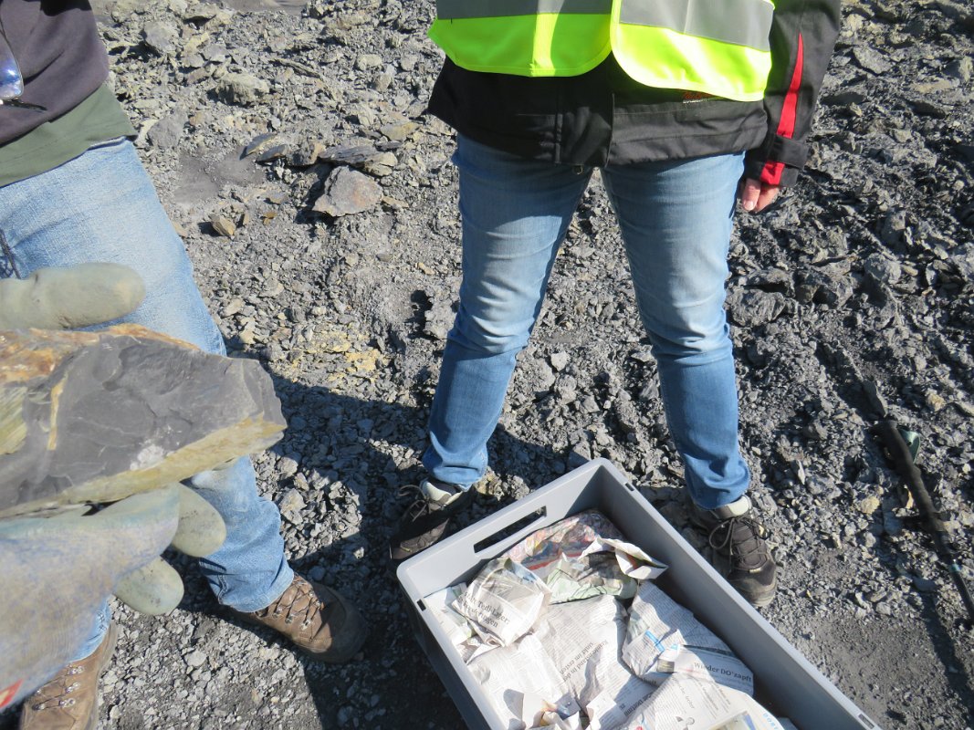 Piesberg am 28.09.2025 (54)