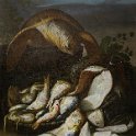 Elena Recco,(1654-1715), Stilleben mit Fischen und einer Schildkröte, Privatsammlung